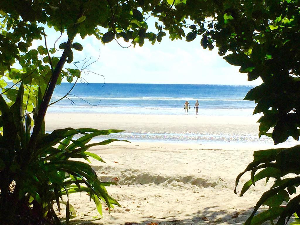 Cape Tribulation Holiday House Екстериор снимка