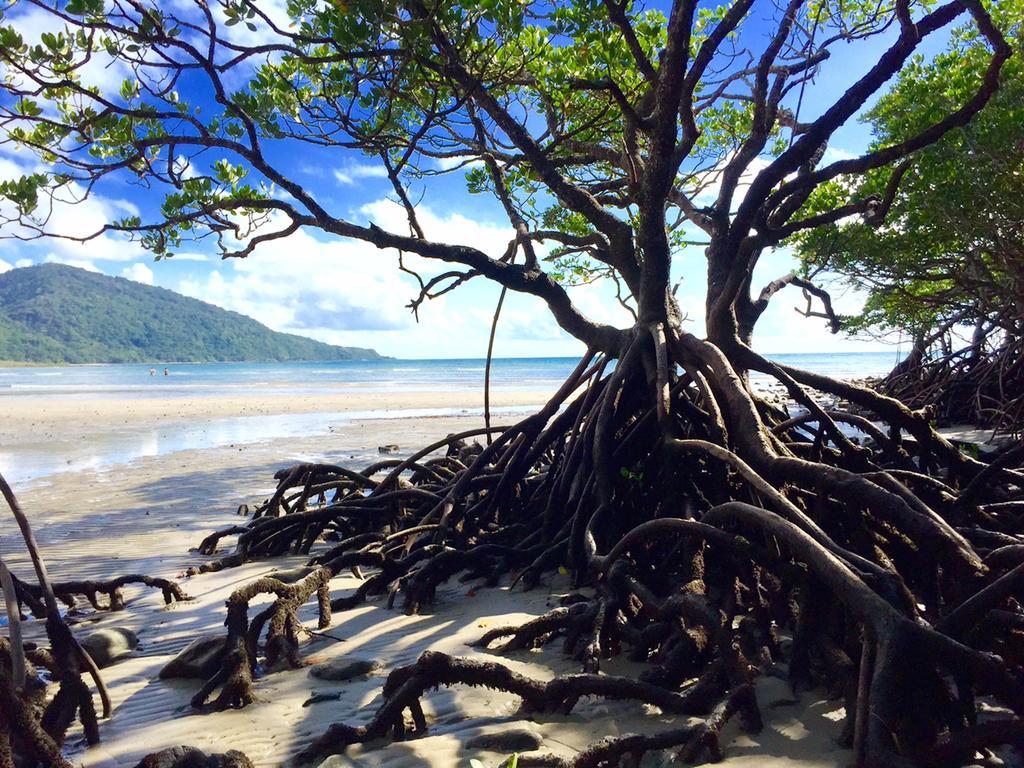 Cape Tribulation Holiday House Екстериор снимка