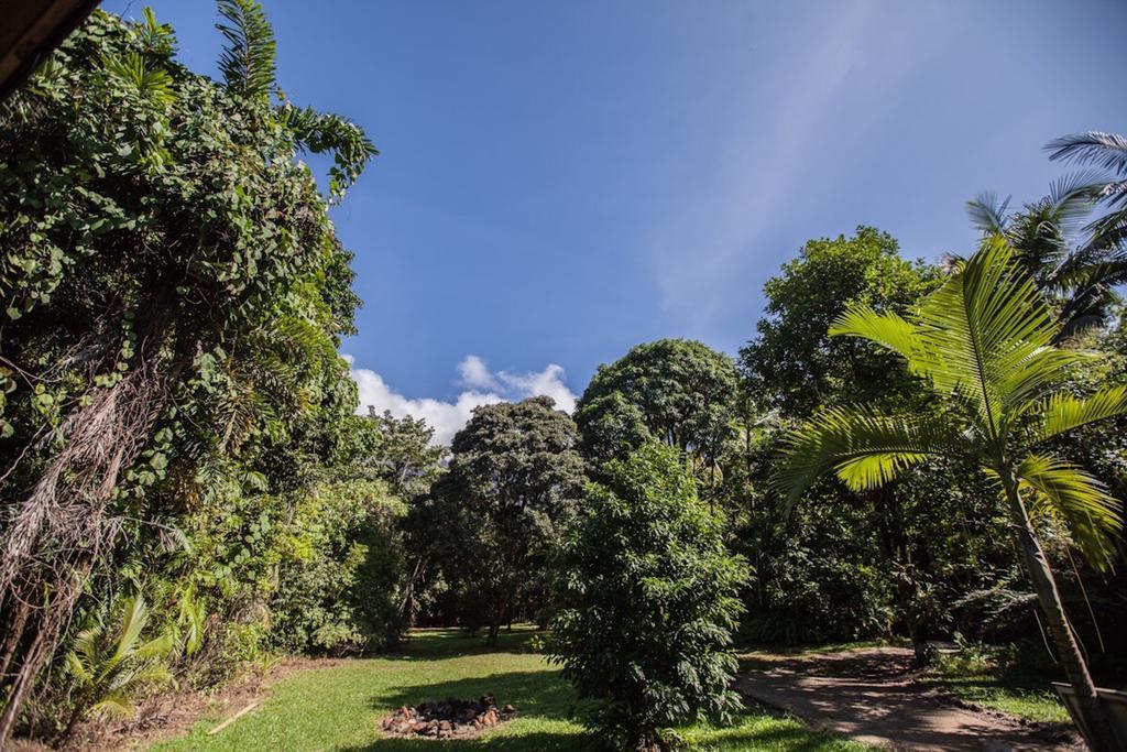 Cape Tribulation Holiday House Екстериор снимка