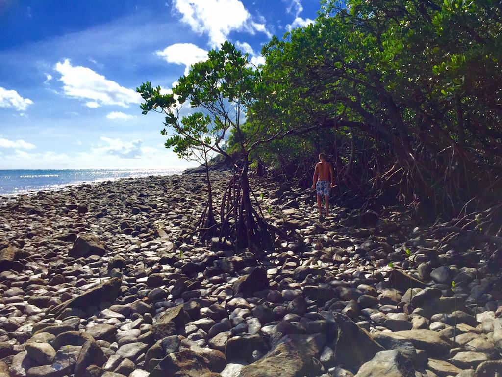 Cape Tribulation Holiday House Екстериор снимка