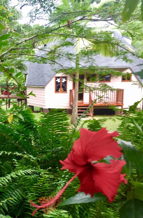 Cape Tribulation Holiday House Екстериор снимка